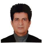 احمد رضا همتی 