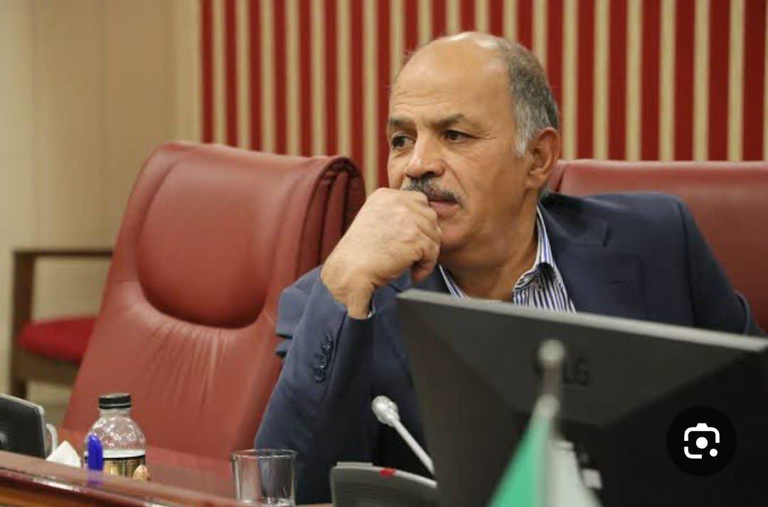 مرتضی رومی زاده