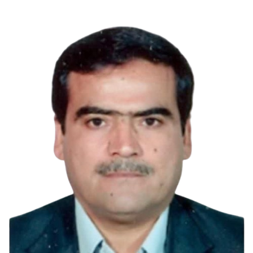 مهدی هادیزاده